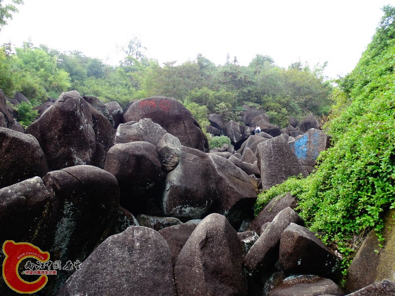 DSC01146.jpg