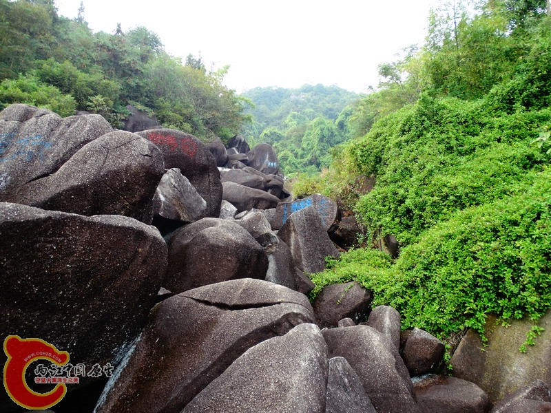 DSC01148.jpg