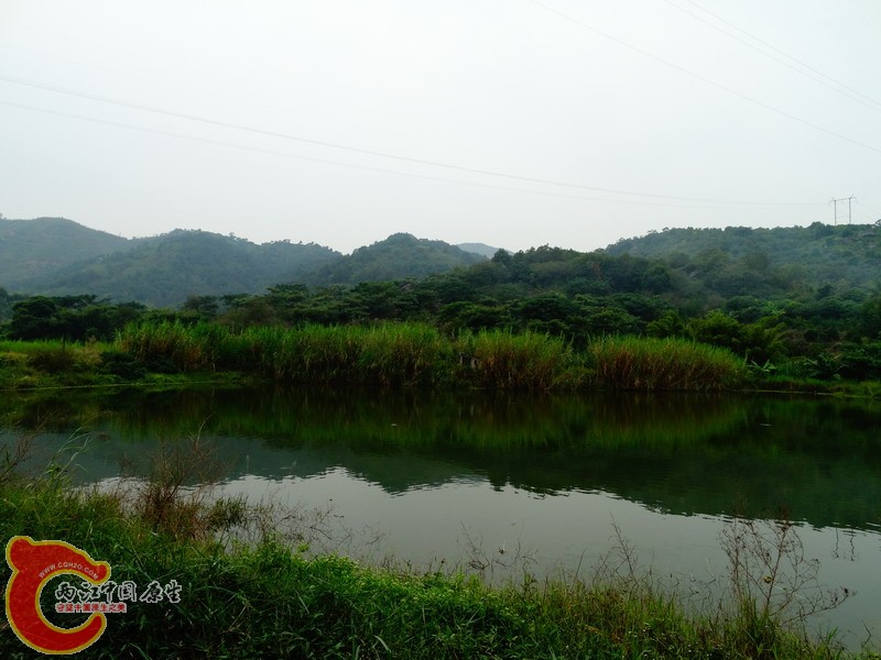 DSC01161.jpg