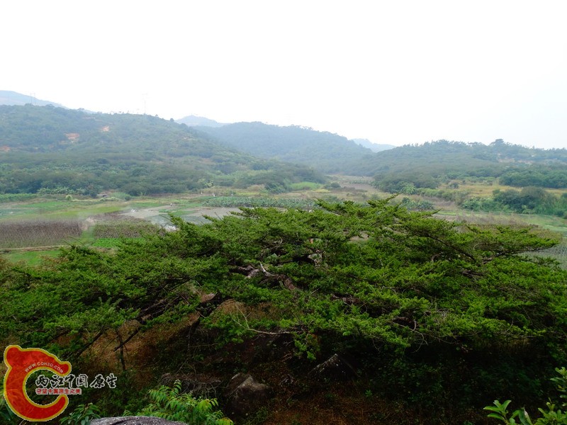DSC01164.jpg