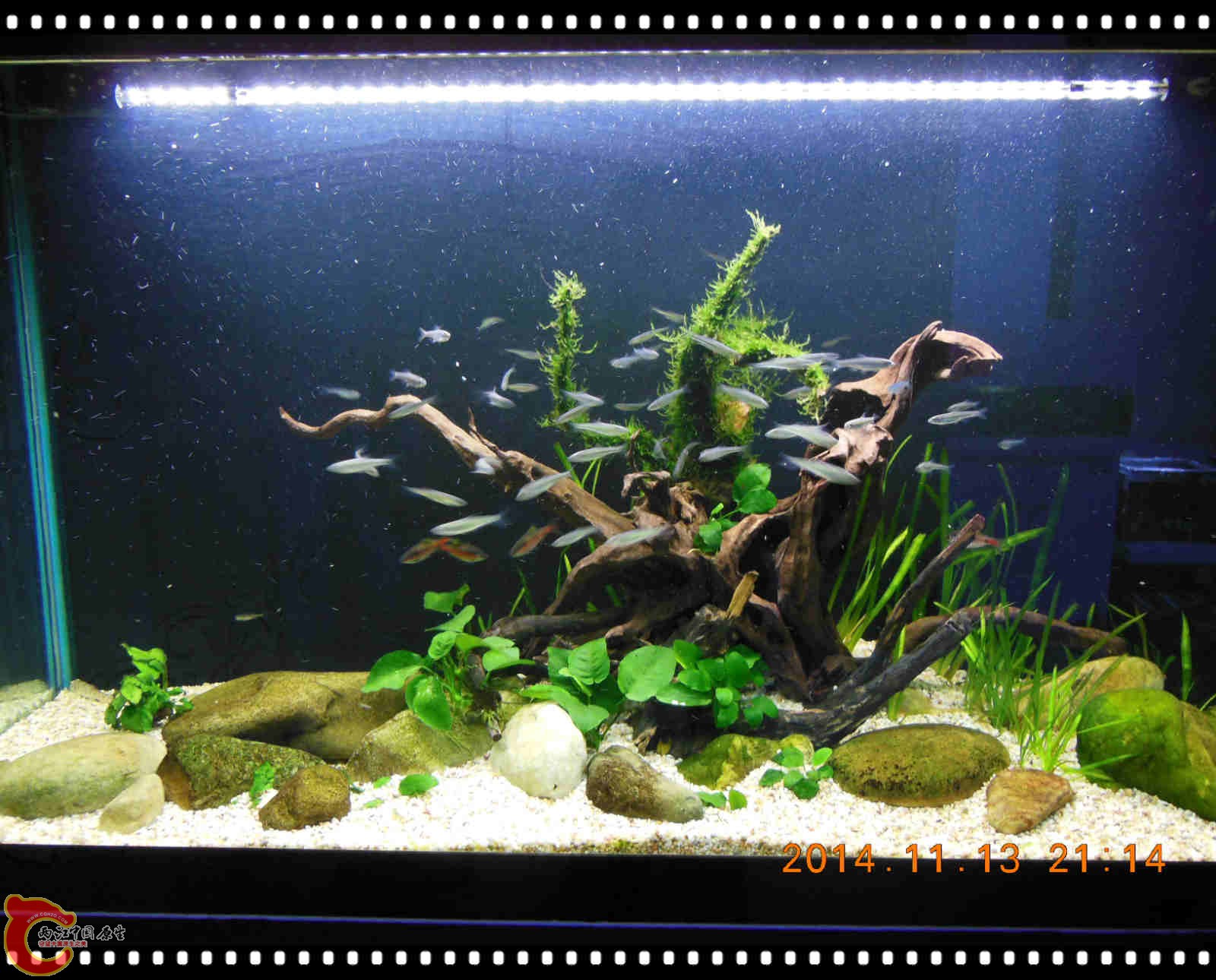 DSCN7128_meitu_3.jpg