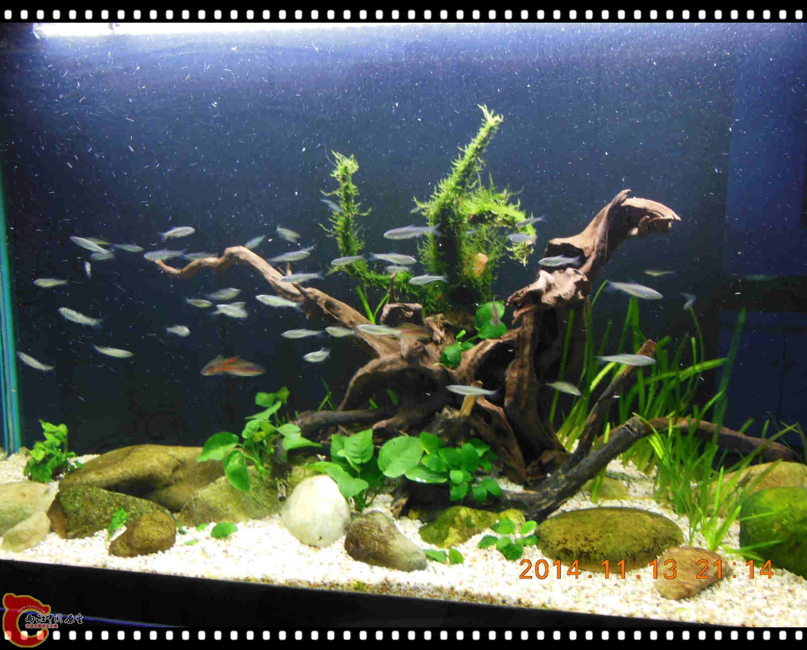 DSCN7129_meitu_4.jpg