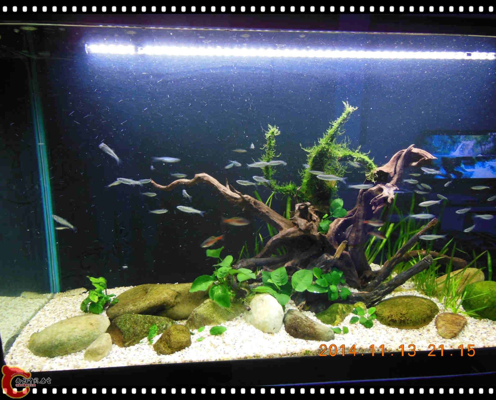 DSCN7131_meitu_6.jpg
