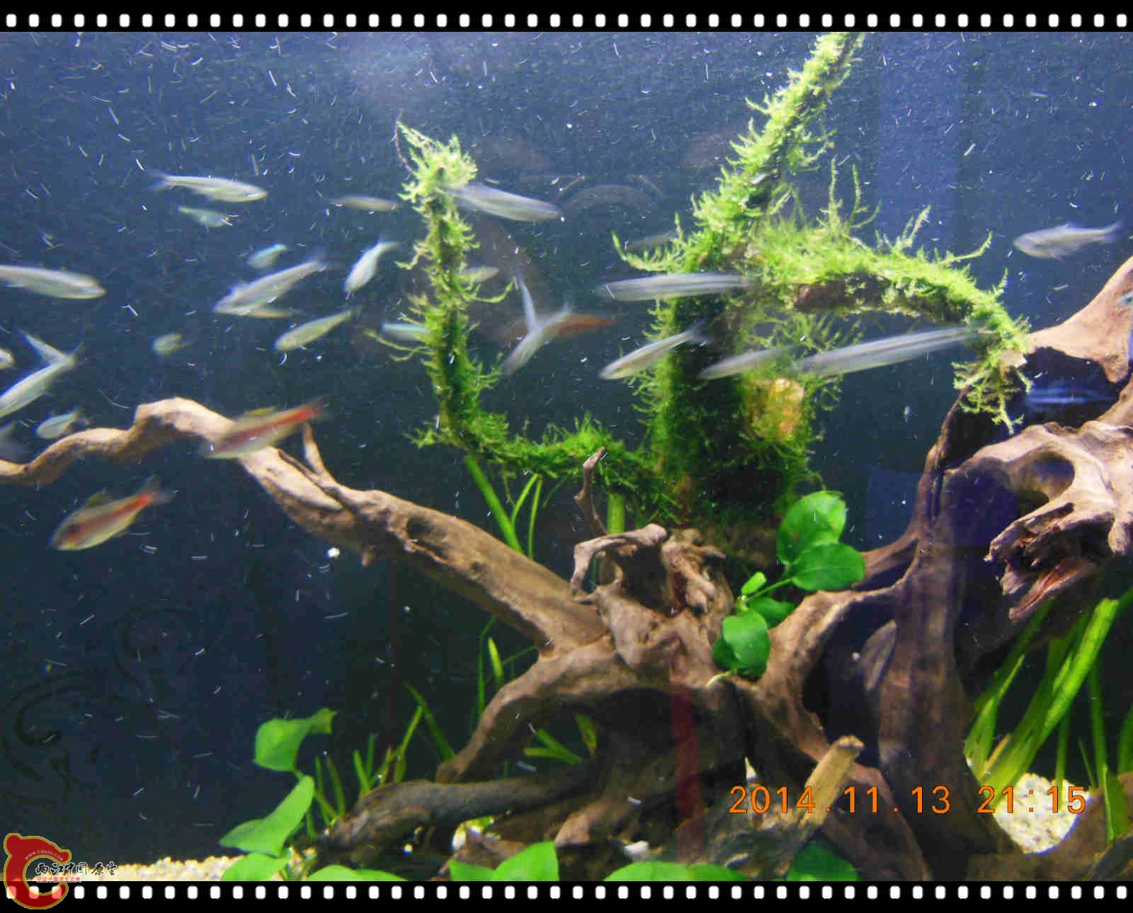 DSCN7132_meitu_7.jpg