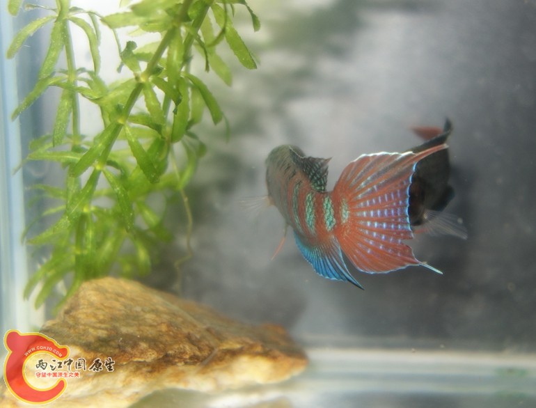 DSC02893_副本_副本_副本_副本_副本.jpg