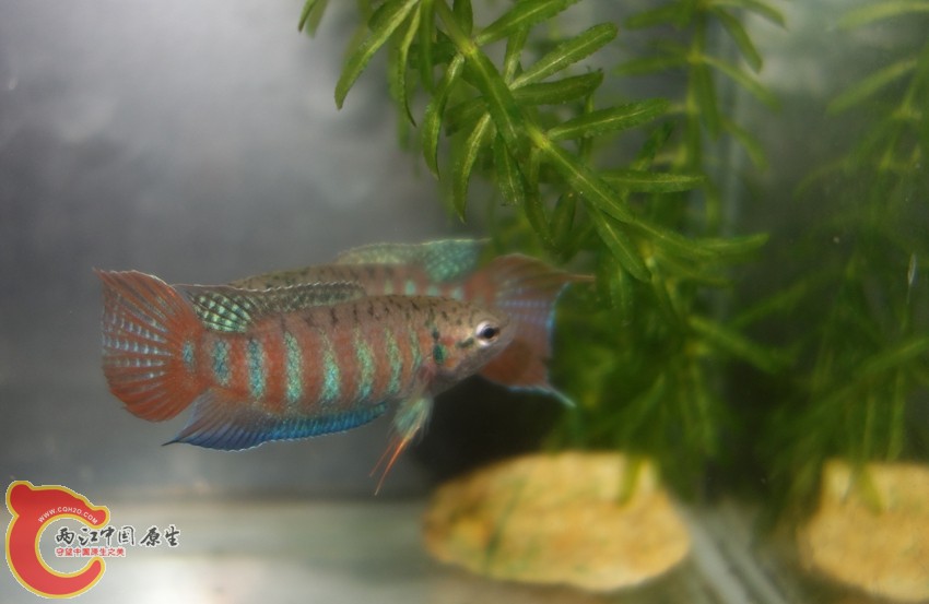 DSC02901_副本_副本_副本.jpg