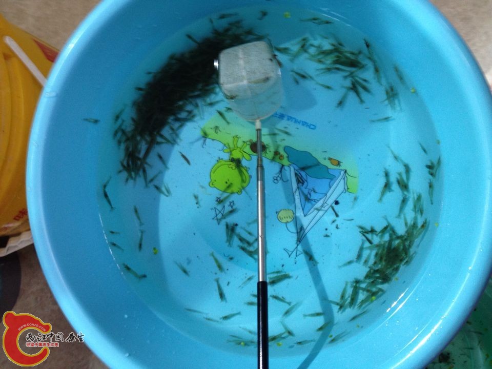 QQ图片20141115195517.jpg