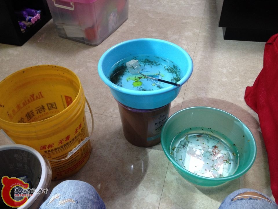 QQ图片20141115195525.jpg