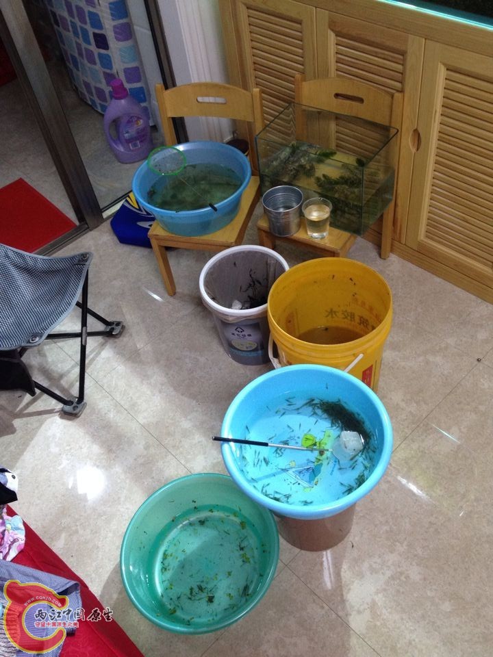 QQ图片20141115195528_旋转.jpg