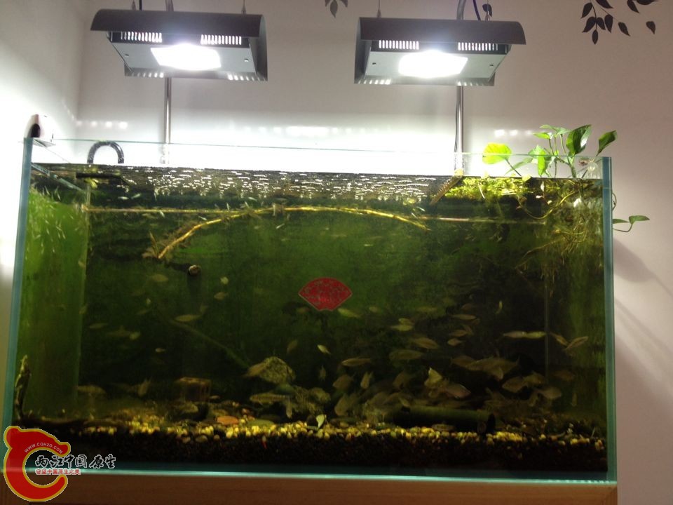 QQ图片20141115195614.jpg