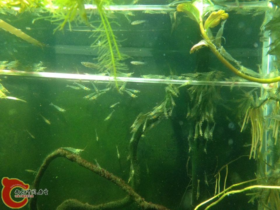 QQ图片20141115195621.jpg