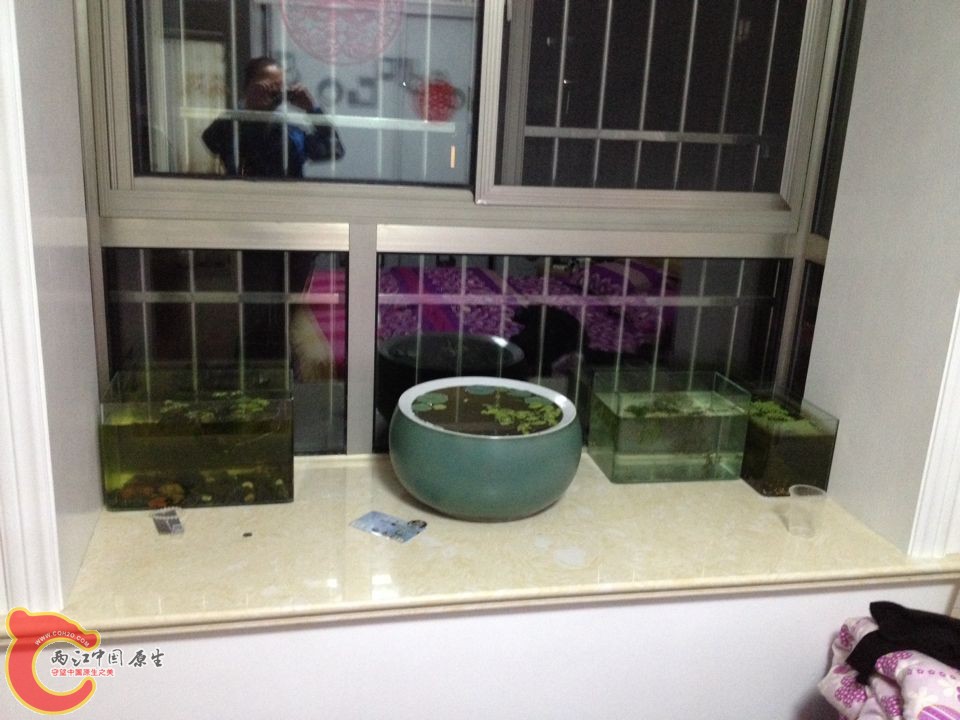 QQ图片20141115195634.jpg