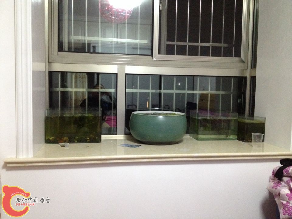 QQ图片20141115195638.jpg