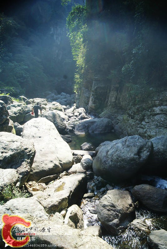 04.jpg