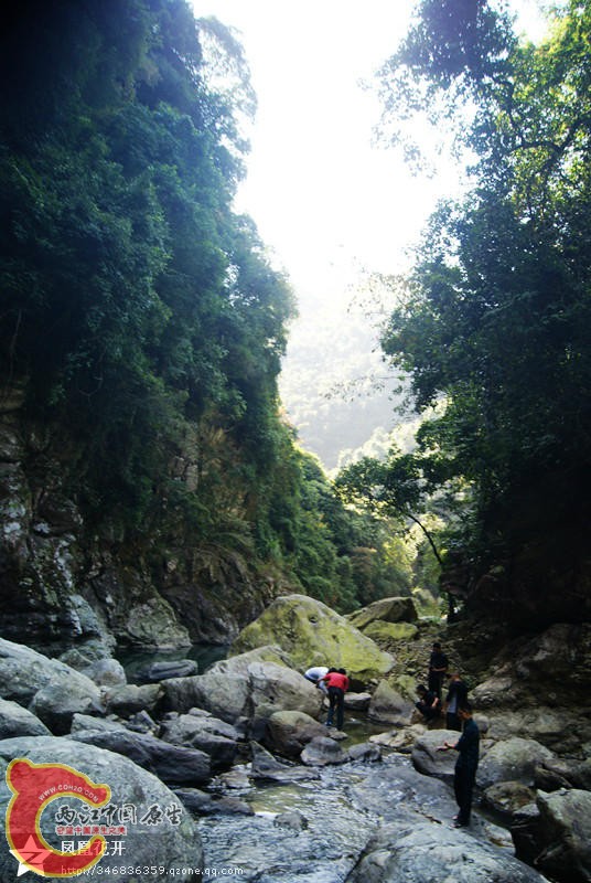 06.jpg