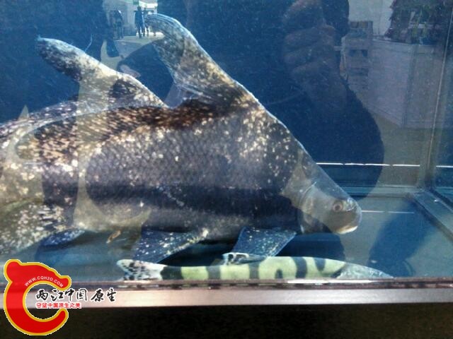 IMG_20141117_103801.jpg