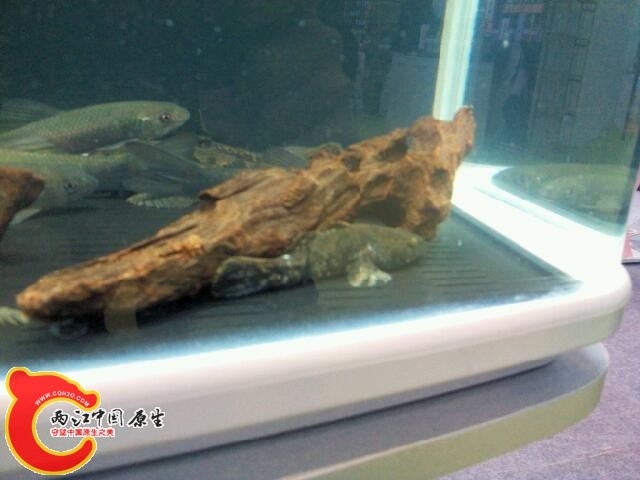 IMG_20141117_103613.jpg