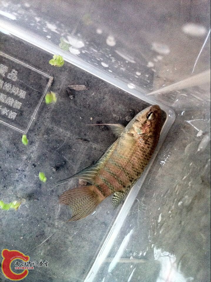 QQ图片20141119161353.jpg