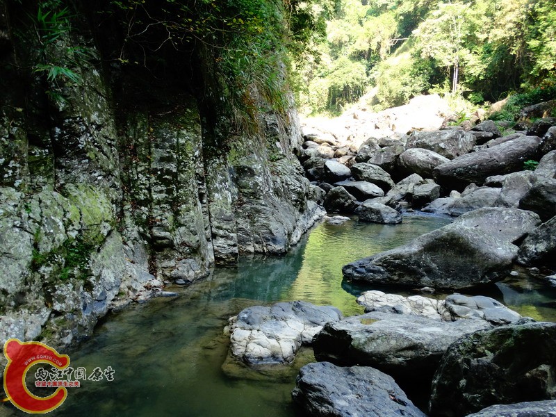 DSC01201.jpg