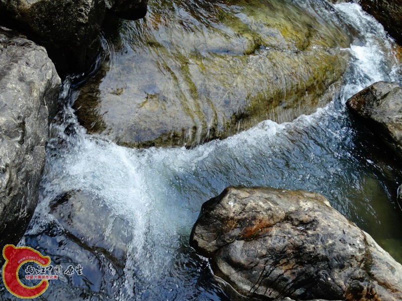 DSC01216.jpg