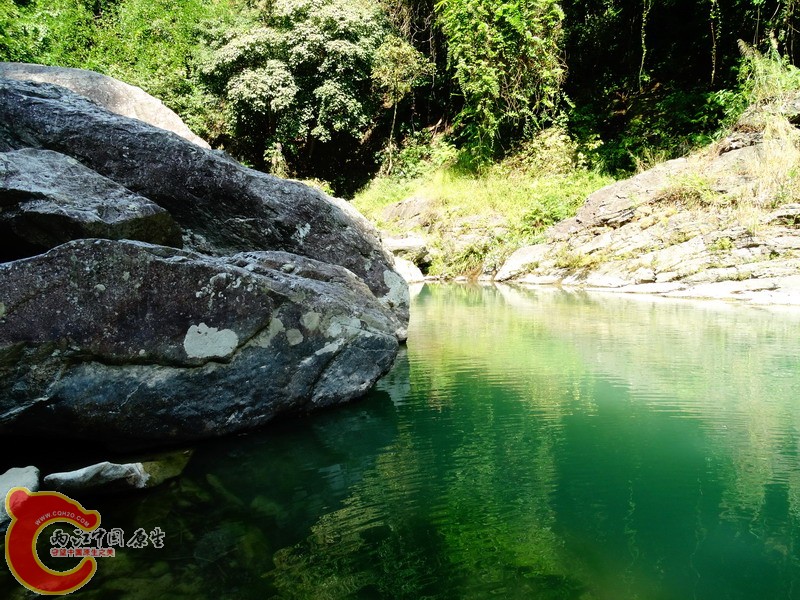 DSC01220.jpg