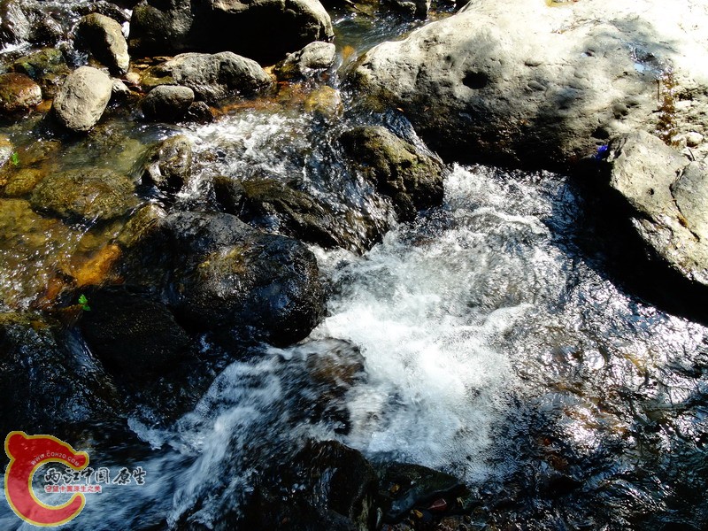 DSC01225.jpg