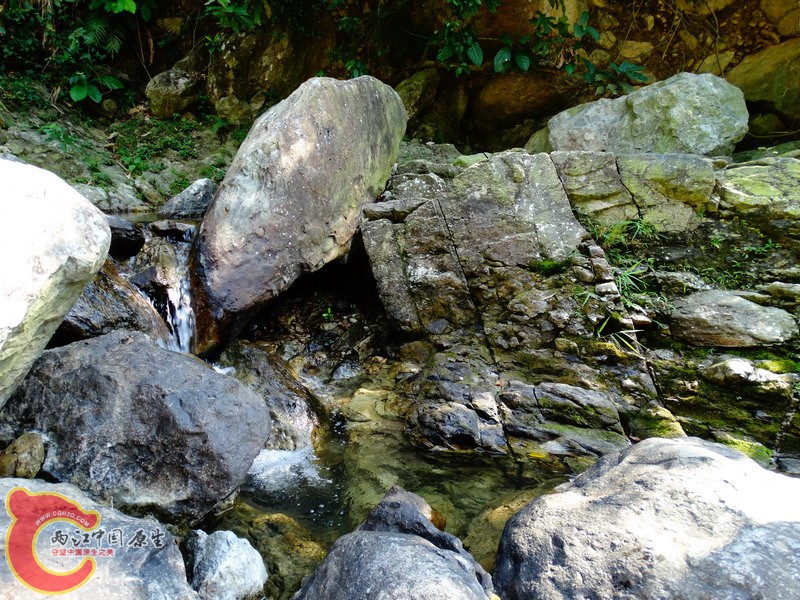 DSC01245.jpg