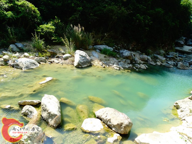 DSC01248.jpg