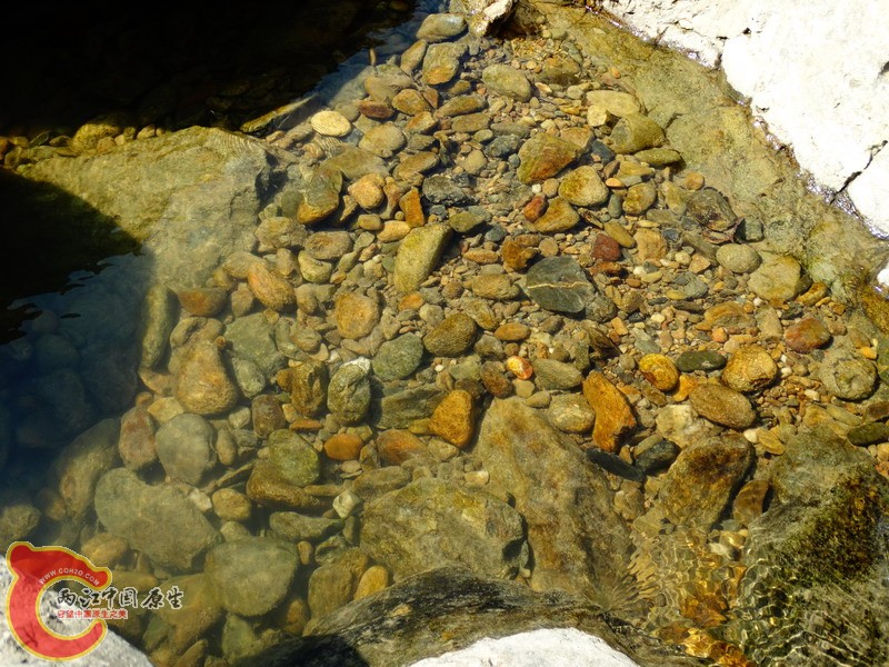 DSC01256.jpg