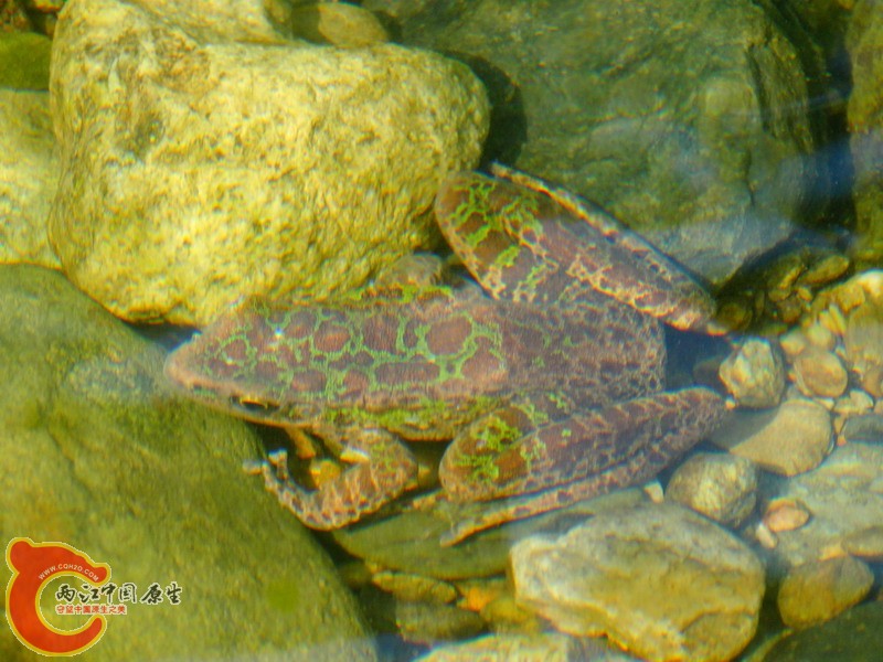 DSC01271.jpg
