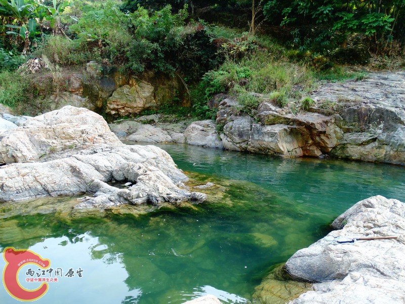 DSC01278.jpg