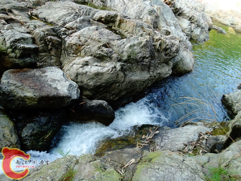 DSC01294.jpg