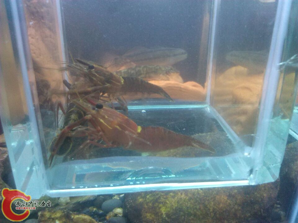 QQ图片20141122224850.jpg