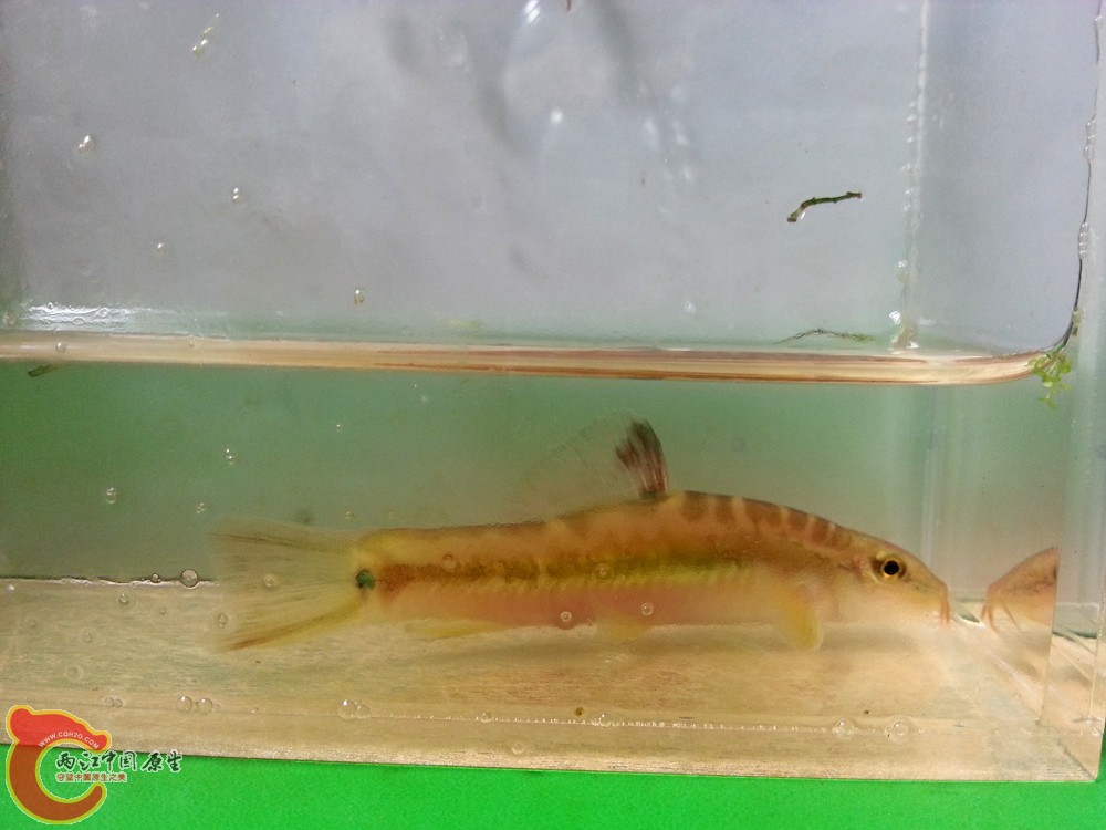 20141123_192822.jpg