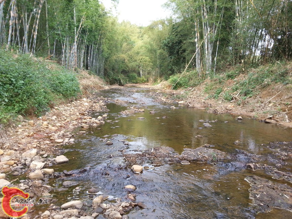 20141115_160121.jpg