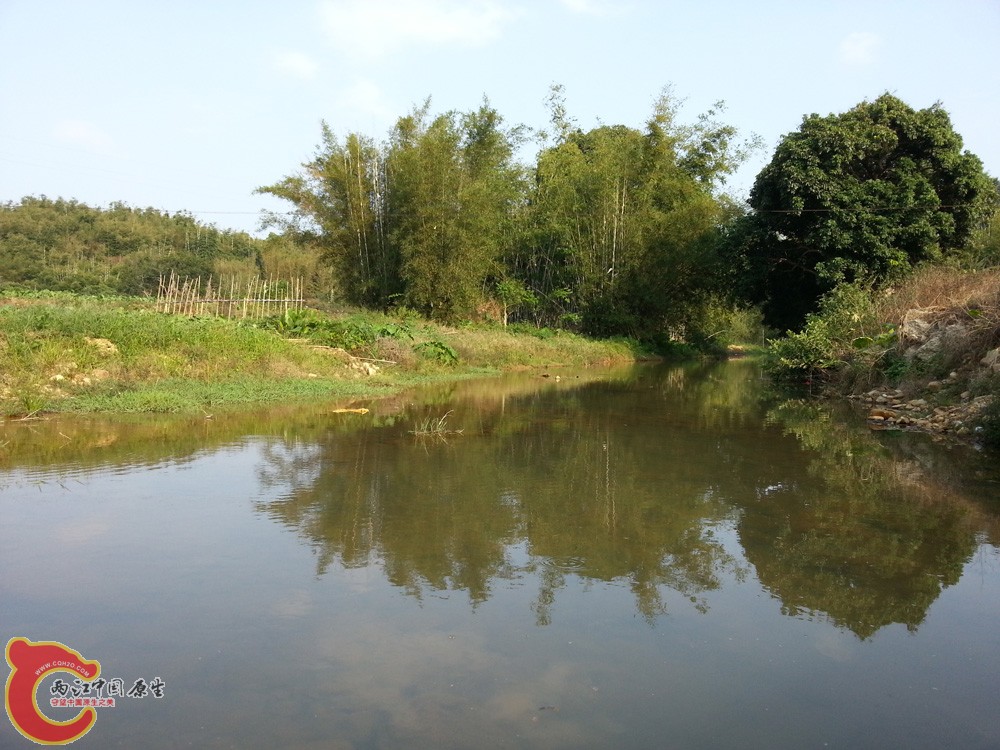 20141115_152005.jpg