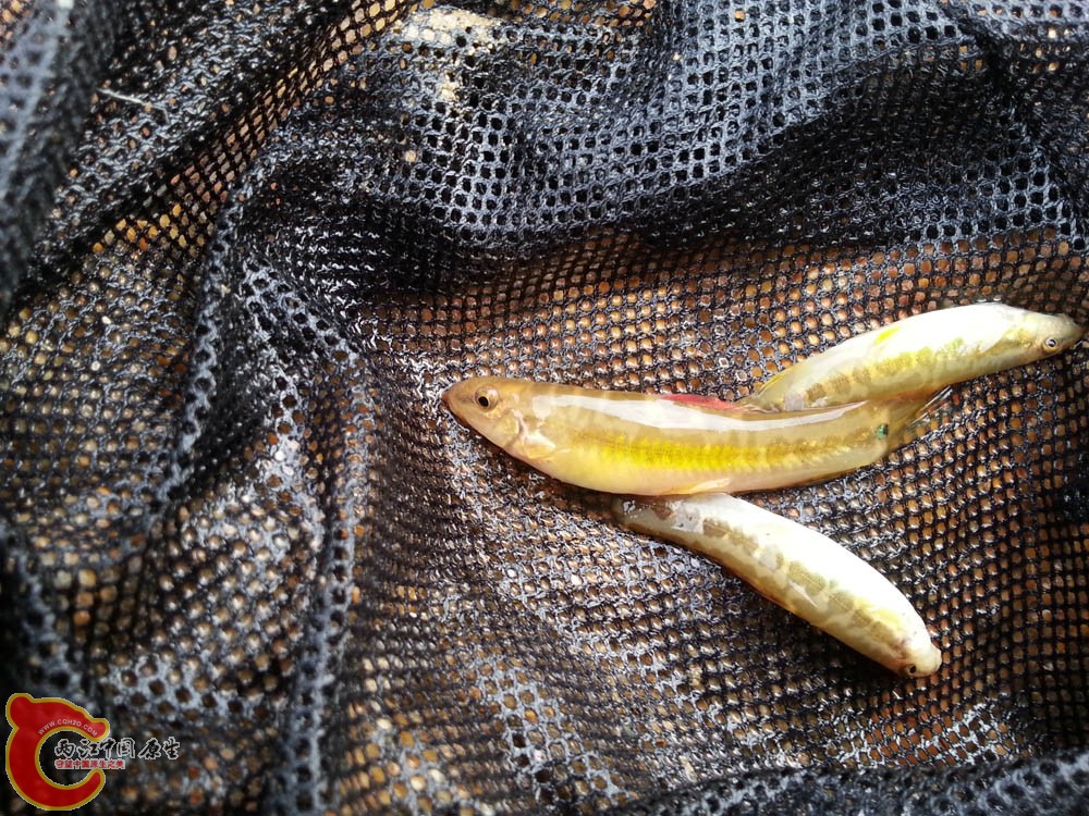 20141123_163136.jpg