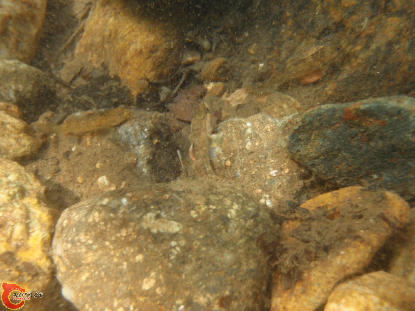 PB230077.jpg