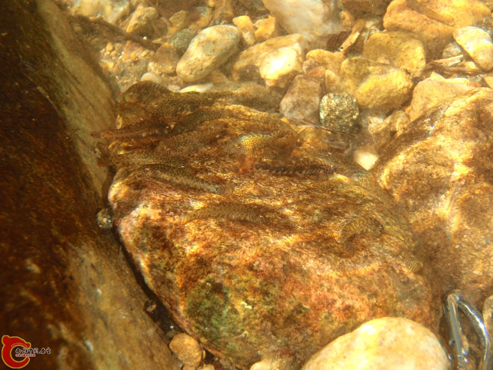 PB230082.jpg