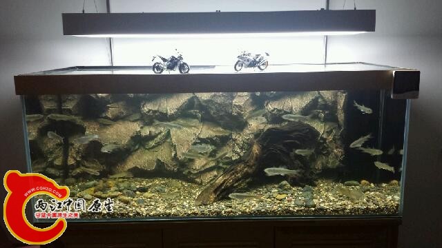 20141124_203407.jpg