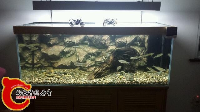 20141124_203428.jpg