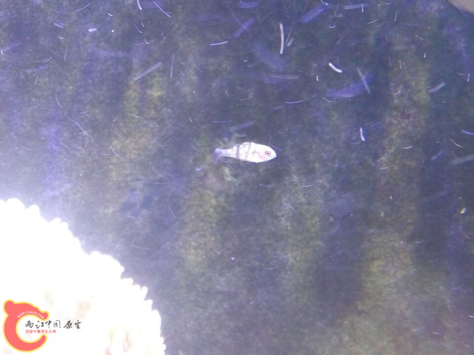 QQ图片20141126034507.jpg