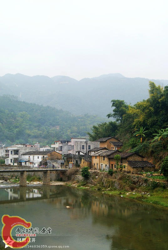 05.jpg