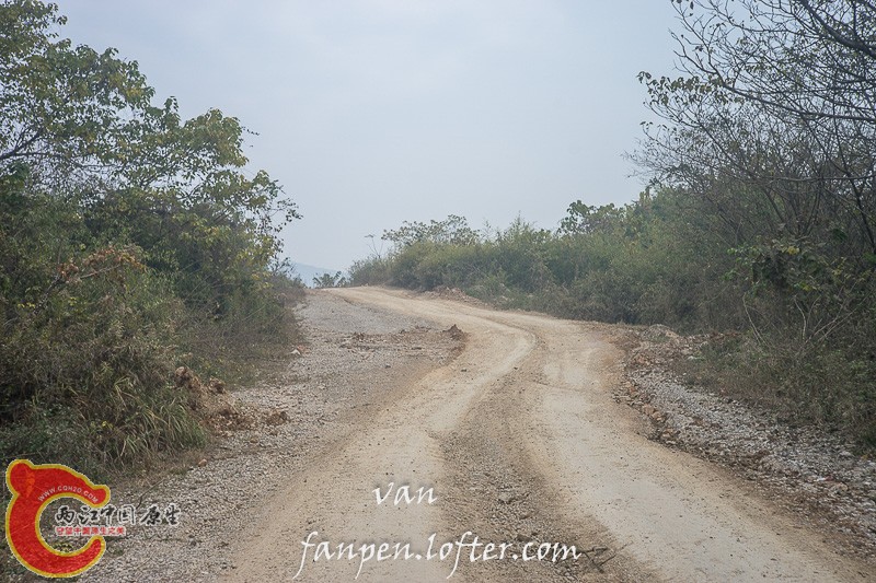DSC06185.jpg