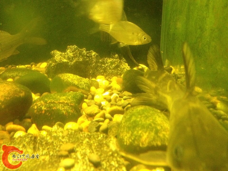 QQ图片20141127162445.jpg