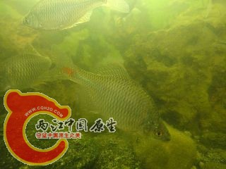 DSC02656.JPG