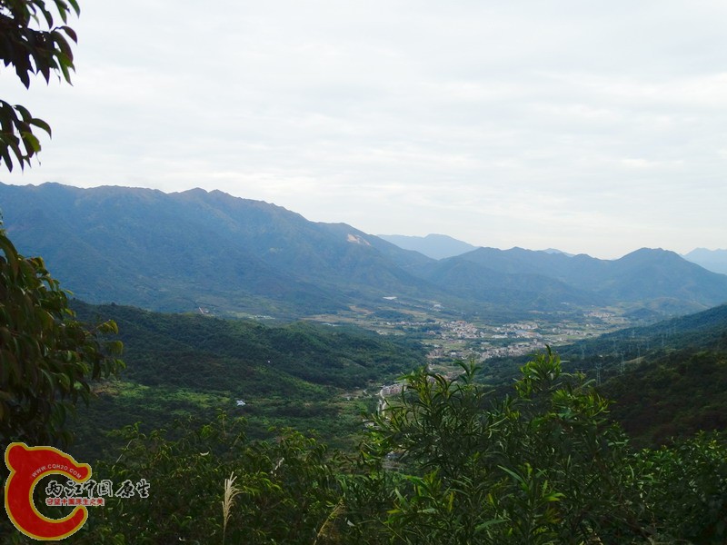 DSC01368.jpg