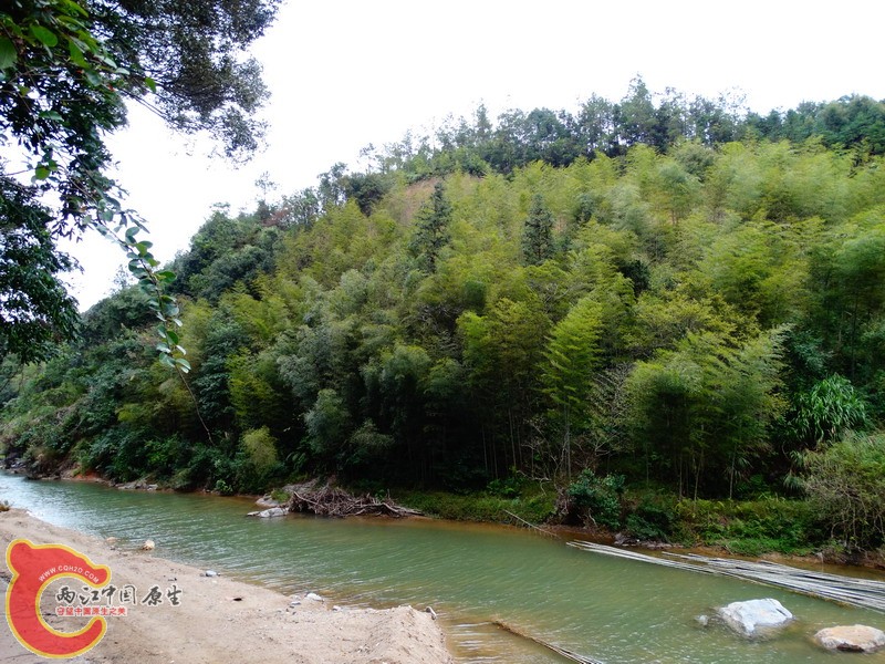 DSC01372.jpg