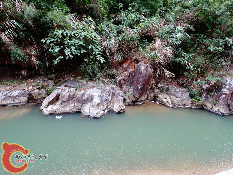 DSC01375.jpg