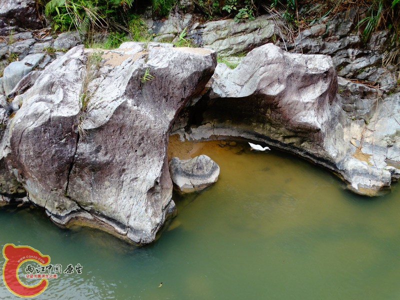 DSC01376.jpg
